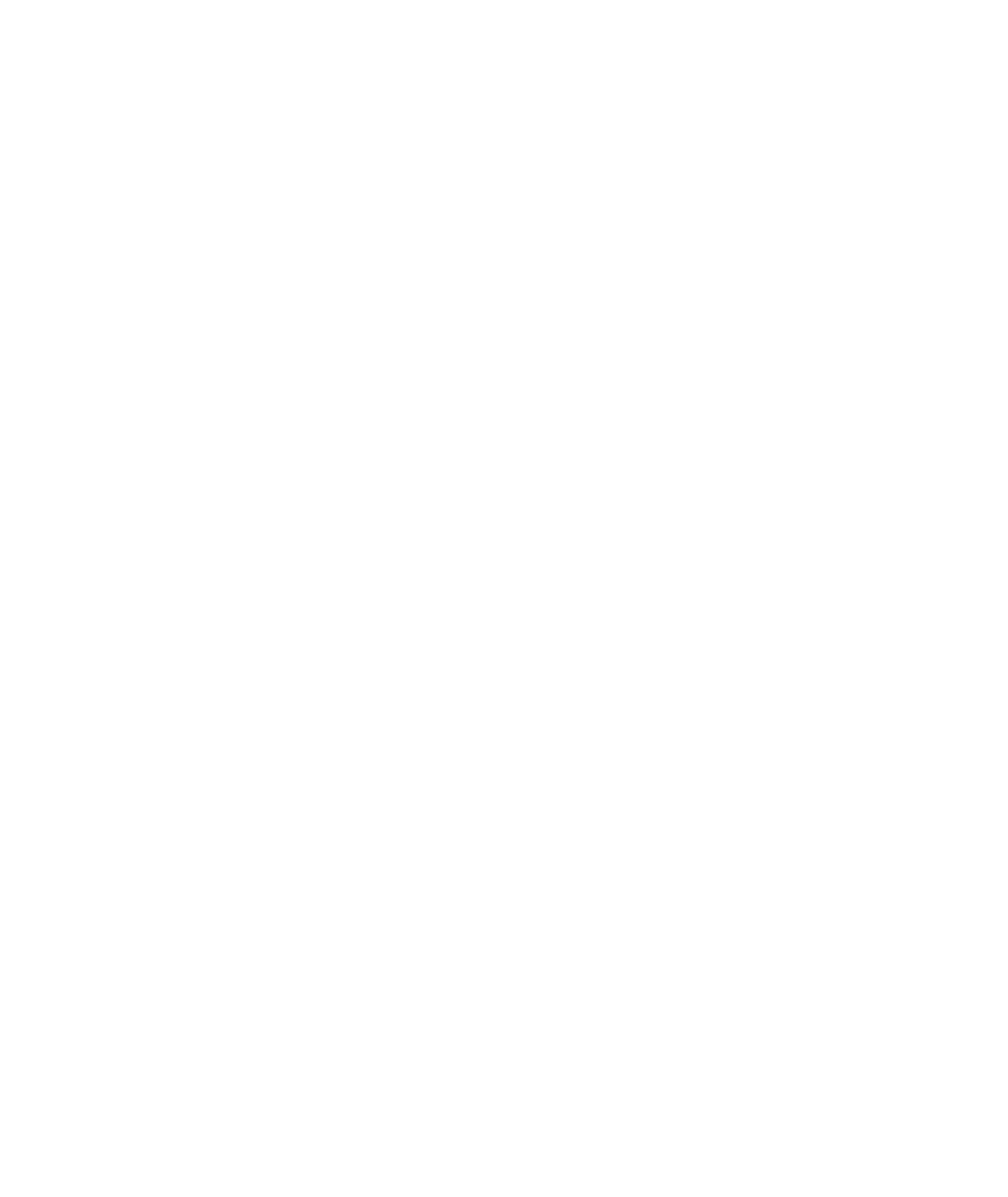 apple store